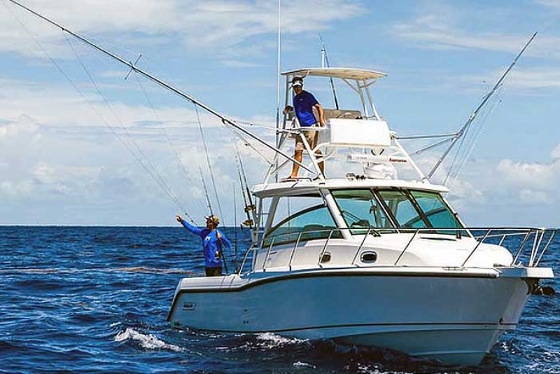 Charter pesca